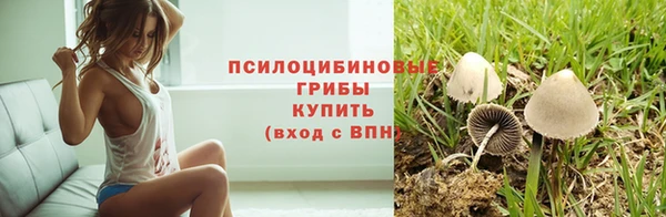 гашик Алзамай