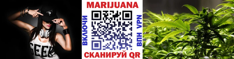Бошки Шишки сатива Олонец