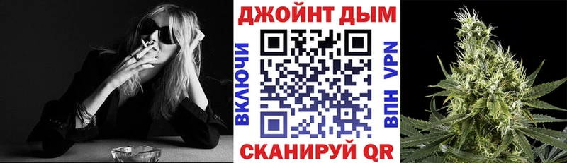 Конопля сатива Олонец